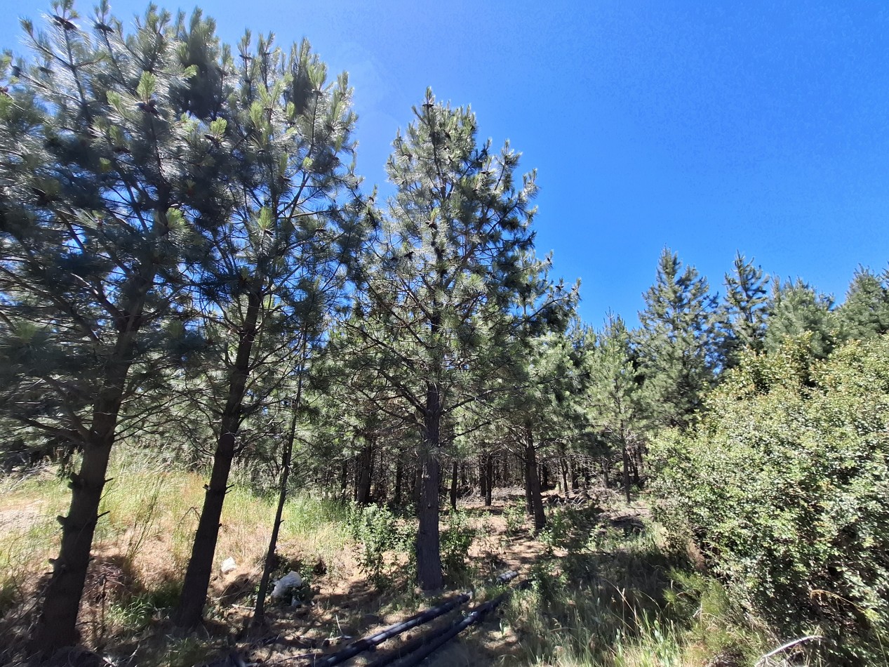 Lote 600m2 en barrio Solares del Este - FINANCIADO