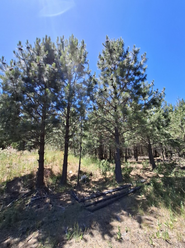 Lote 600m2 en barrio Solares del Este - FINANCIADO