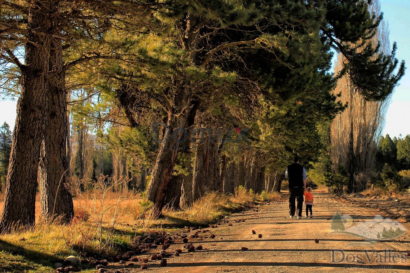 Lote en  DOS VALLES- Bariloche