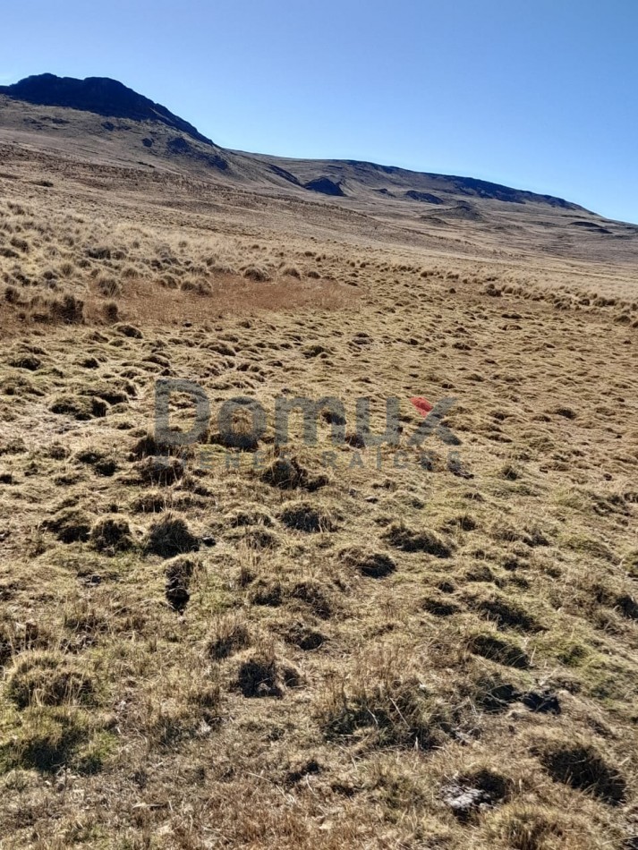 venta de campo en Jacobacci