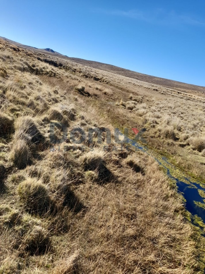 venta de campo en Jacobacci