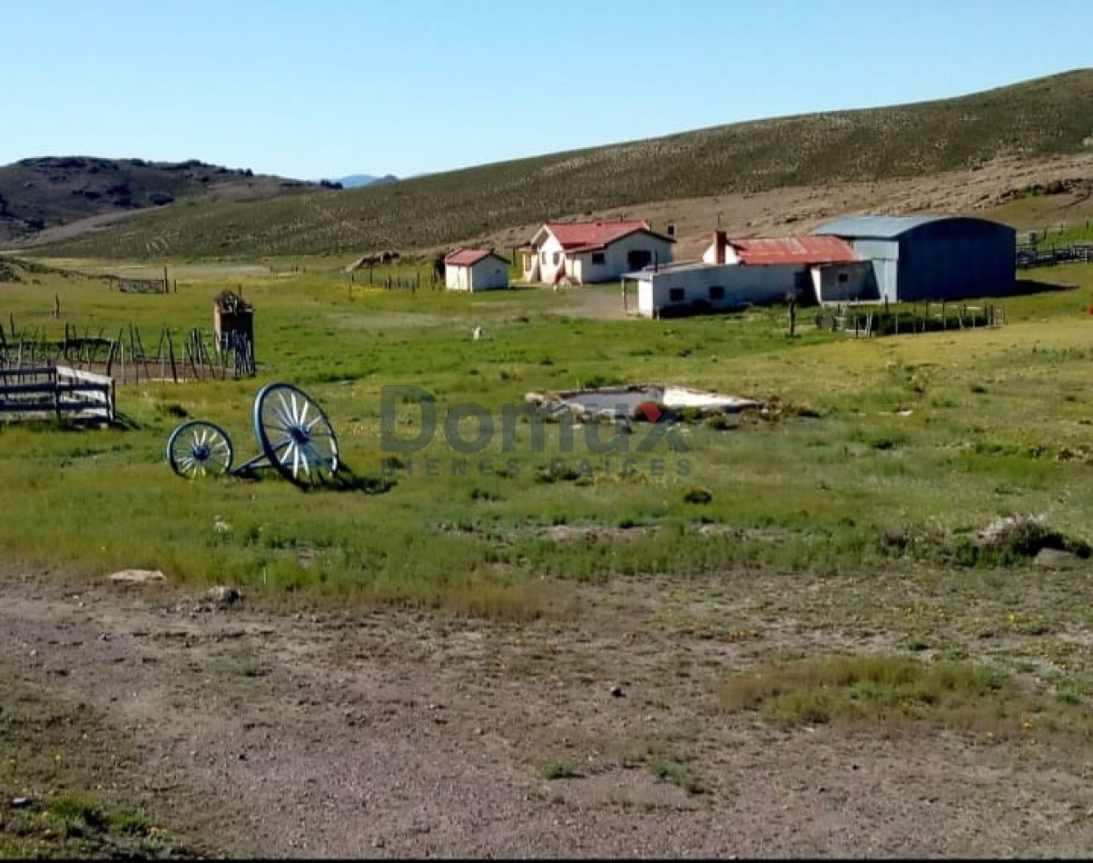 venta de campo en Jacobacci