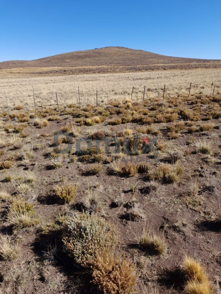 venta de campo en Jacobacci