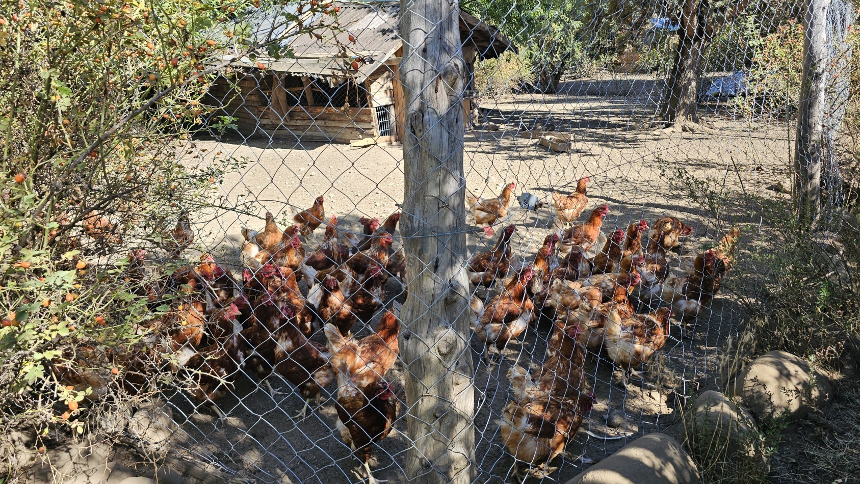 campo con gran potencial en venta a 5 minutos de Bolson - LOS REPOLLOS