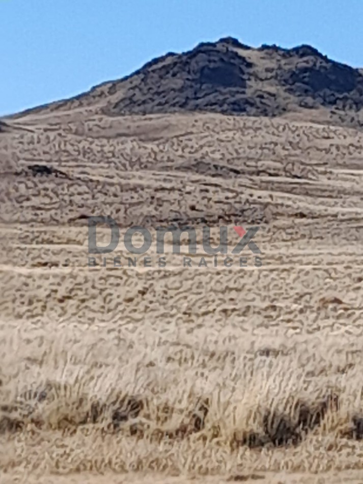 venta de campo en Jacobacci