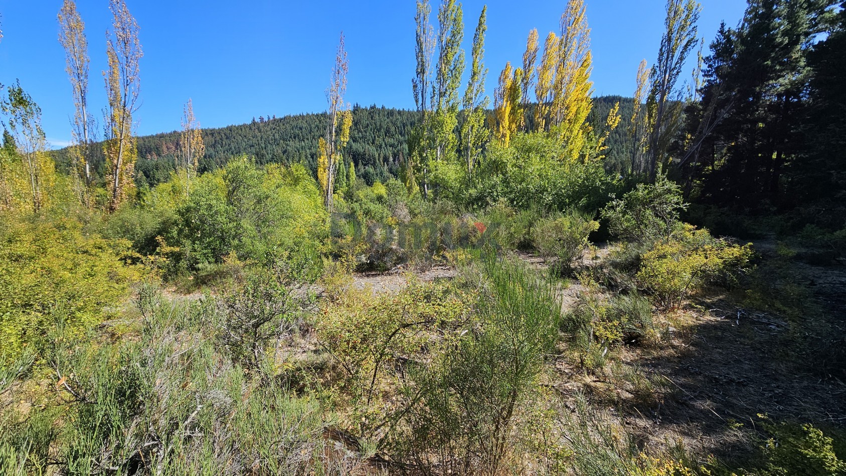 campo con gran potencial en venta a 5 minutos de Bolson - LOS REPOLLOS