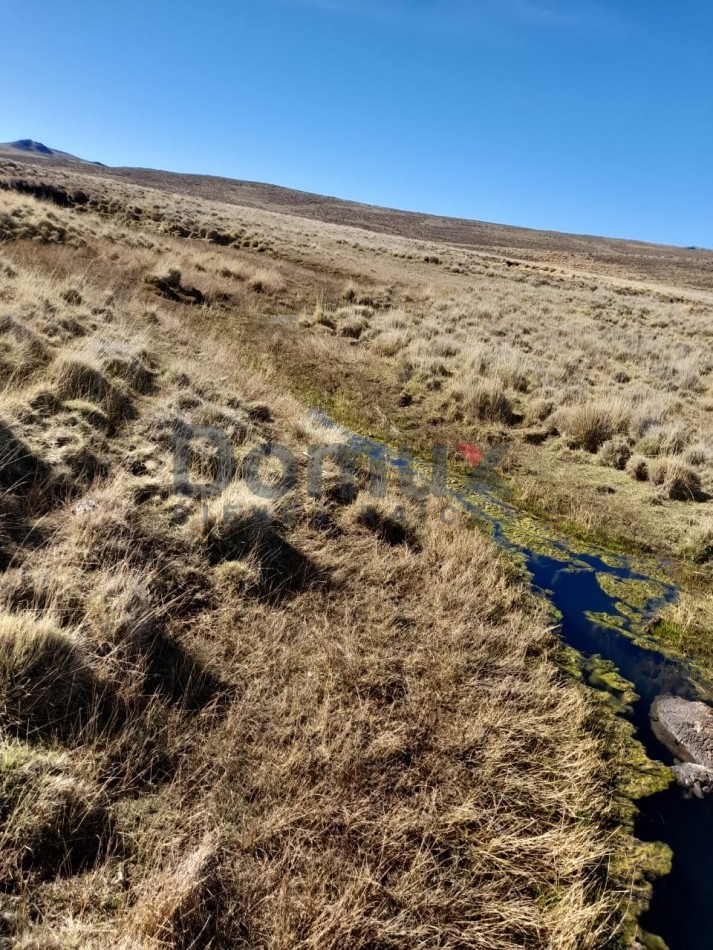 venta de campo en Jacobacci