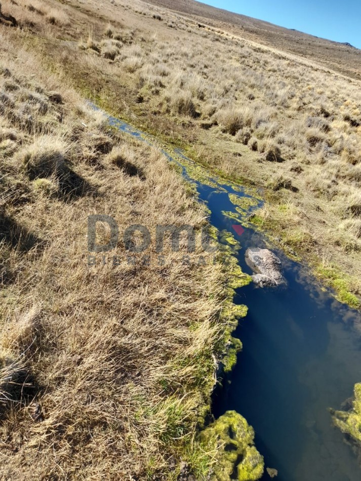 venta de campo en Jacobacci
