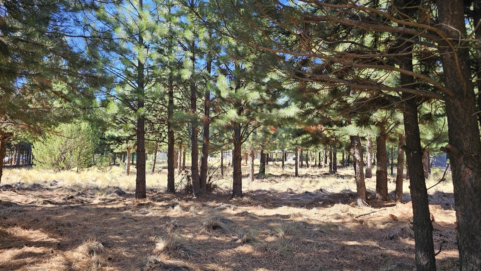 LOTE EN DOS VALLES FINANCIADO