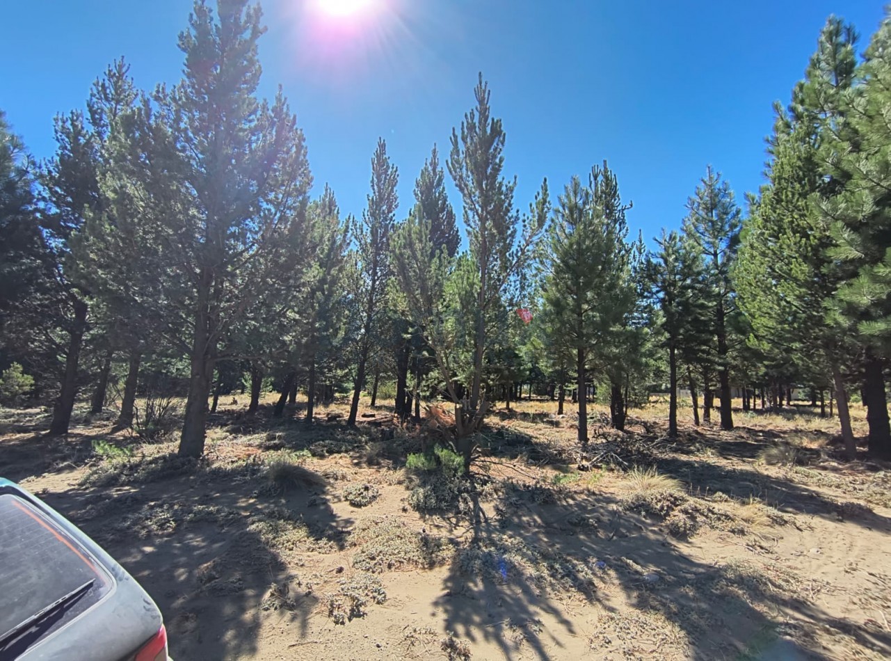 LOTE EN DOS VALLES FINANCIADO