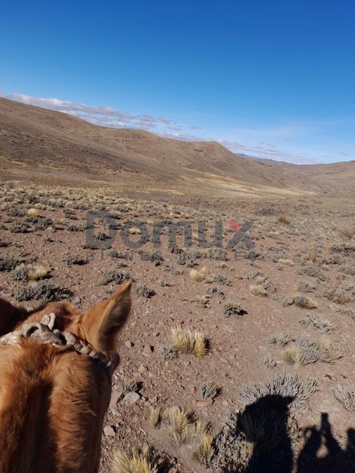 venta de campo en Jacobacci