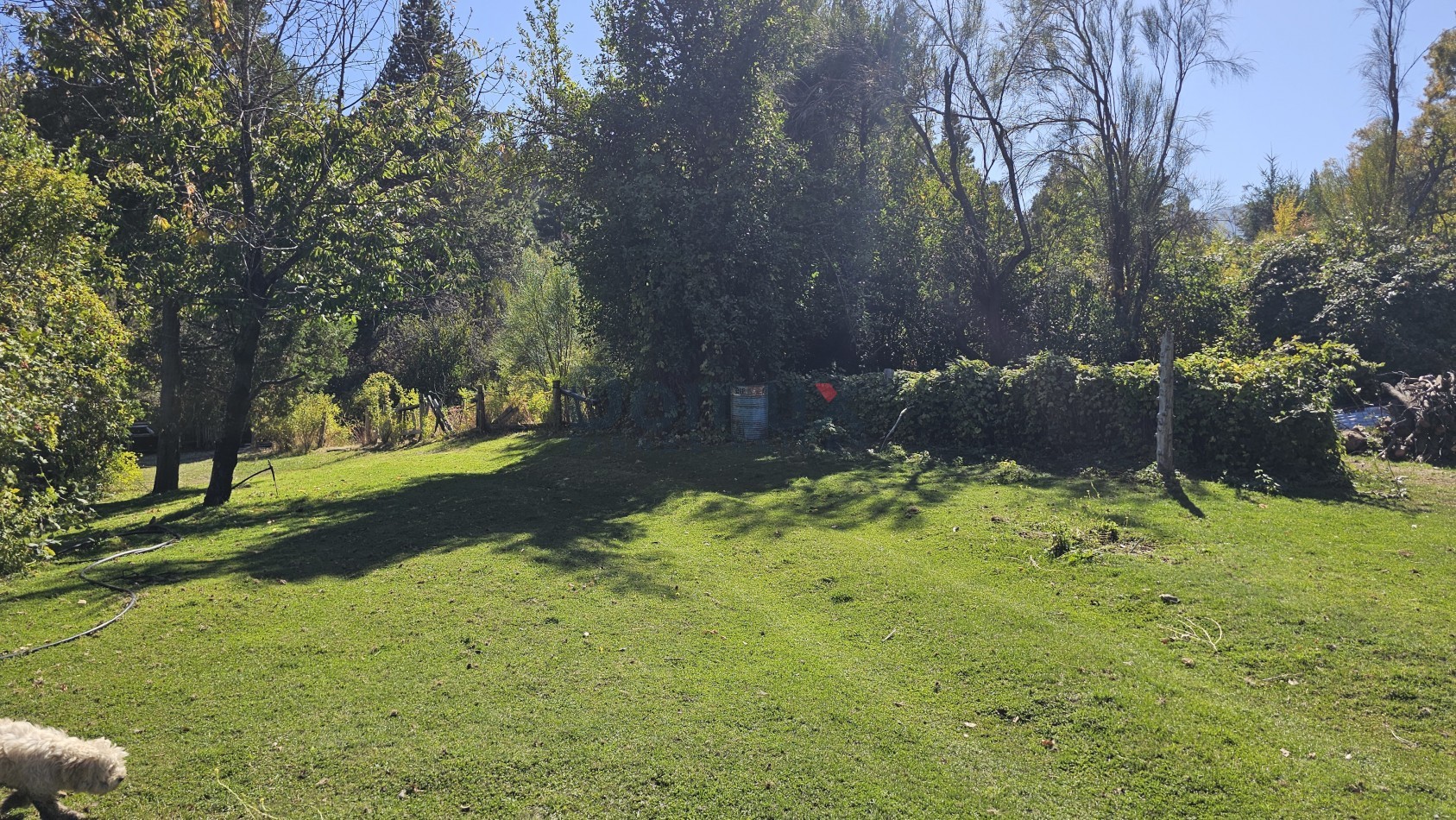 campo con gran potencial en venta a 5 minutos de Bolson - LOS REPOLLOS