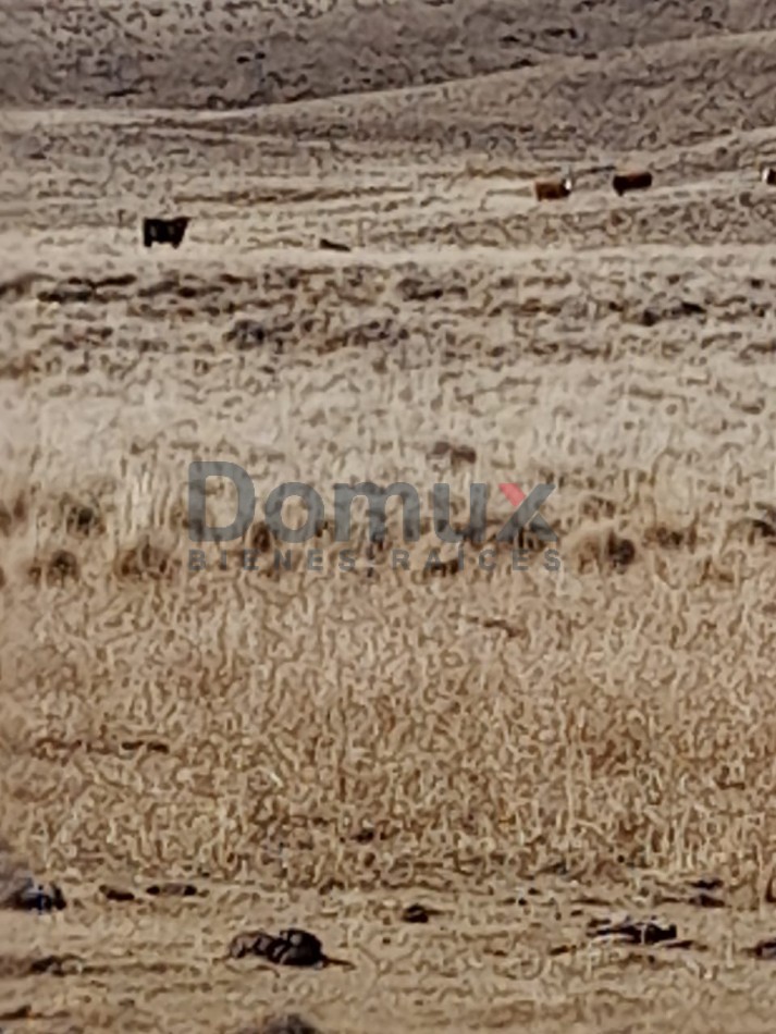 venta de campo en Jacobacci