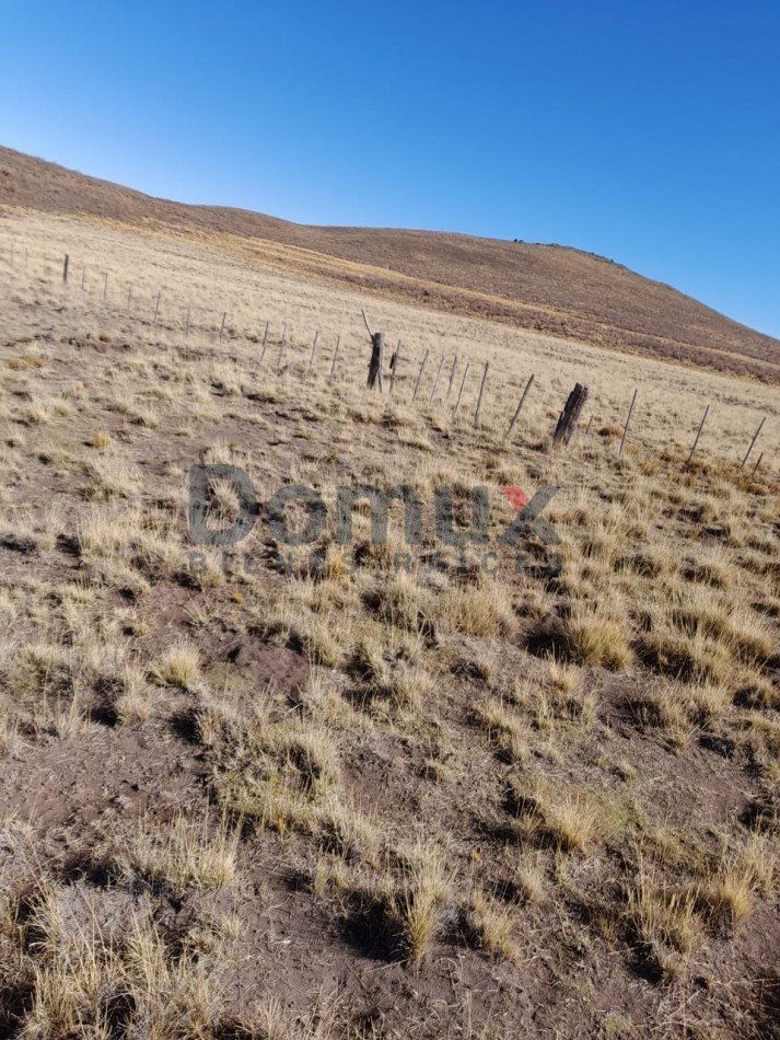 venta de campo en Jacobacci