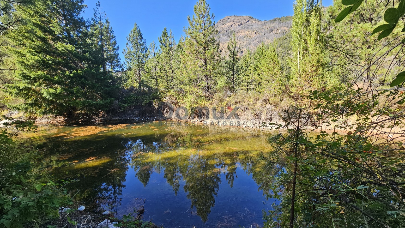 campo con gran potencial en venta a 5 minutos de Bolson - LOS REPOLLOS