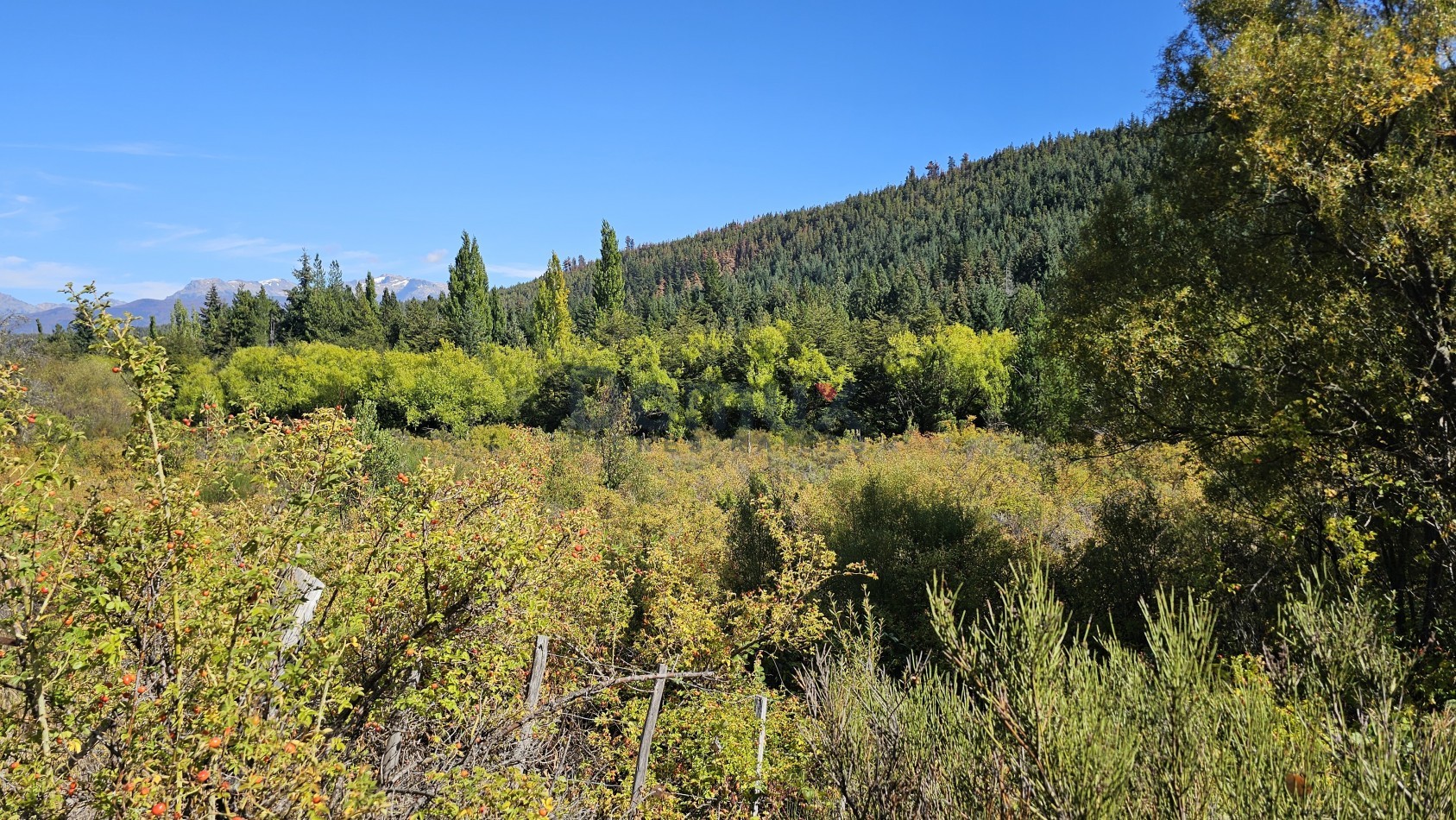 campo con gran potencial en venta a 5 minutos de Bolson - LOS REPOLLOS