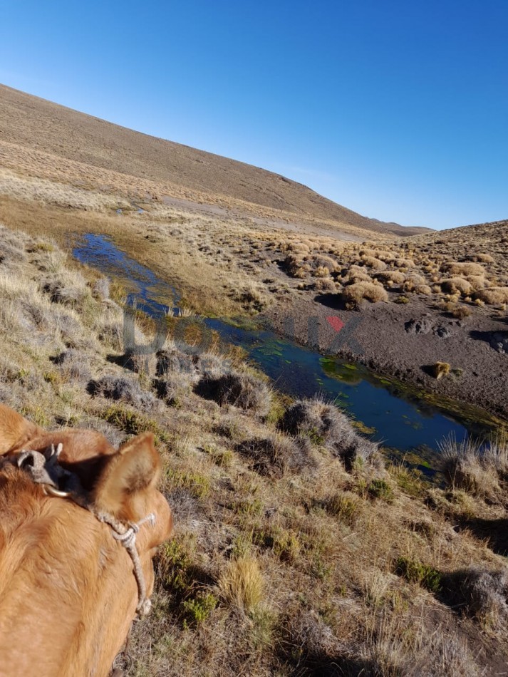 venta de campo en Jacobacci