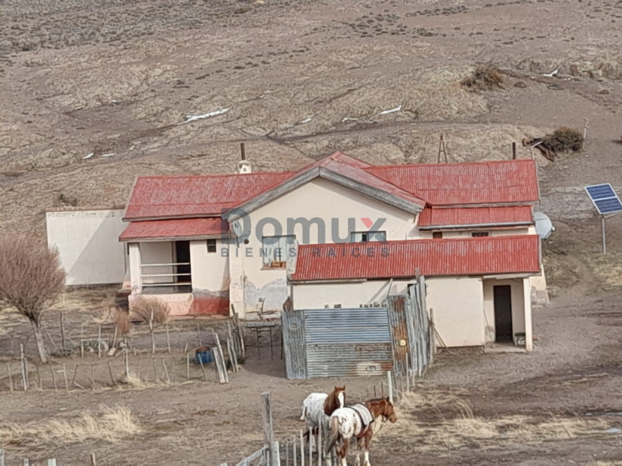 venta de campo en Jacobacci