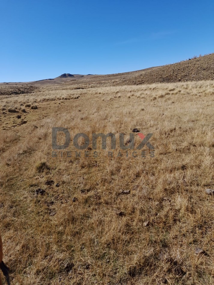 venta de campo en Jacobacci