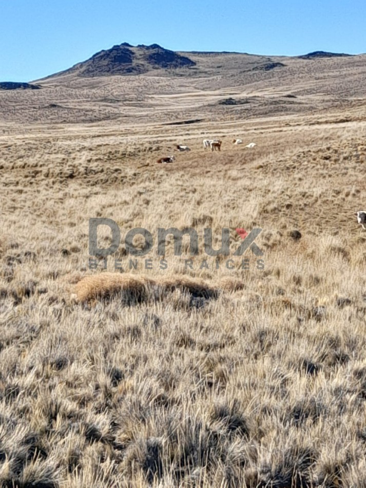 venta de campo en Jacobacci