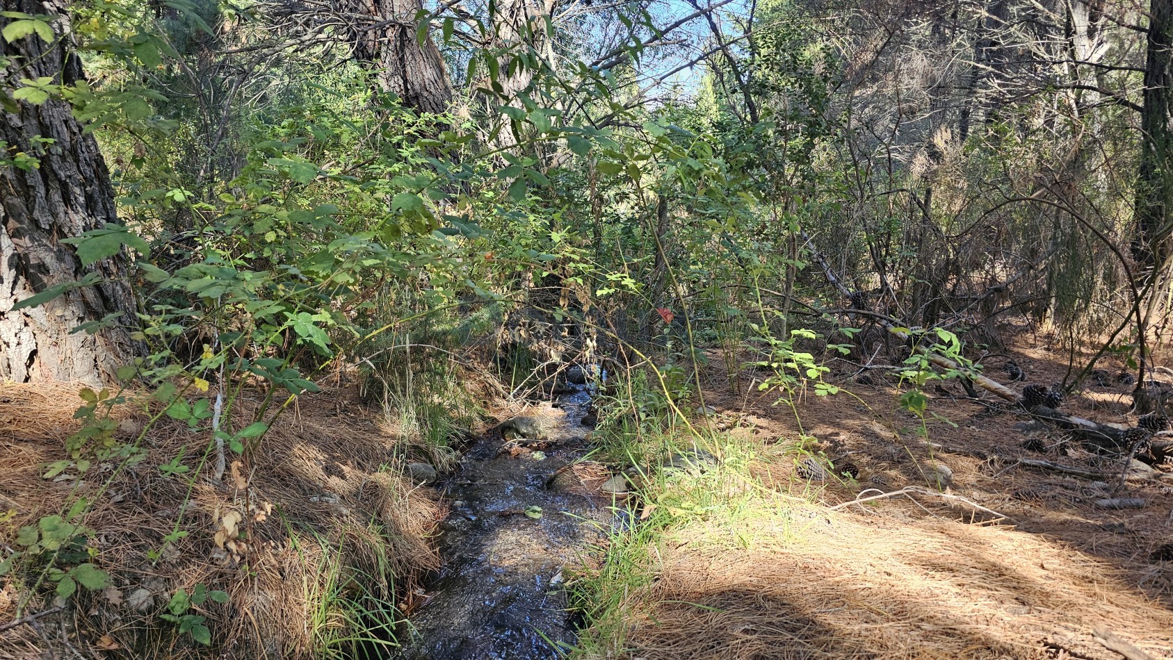campo con gran potencial en venta a 5 minutos de Bolson - LOS REPOLLOS