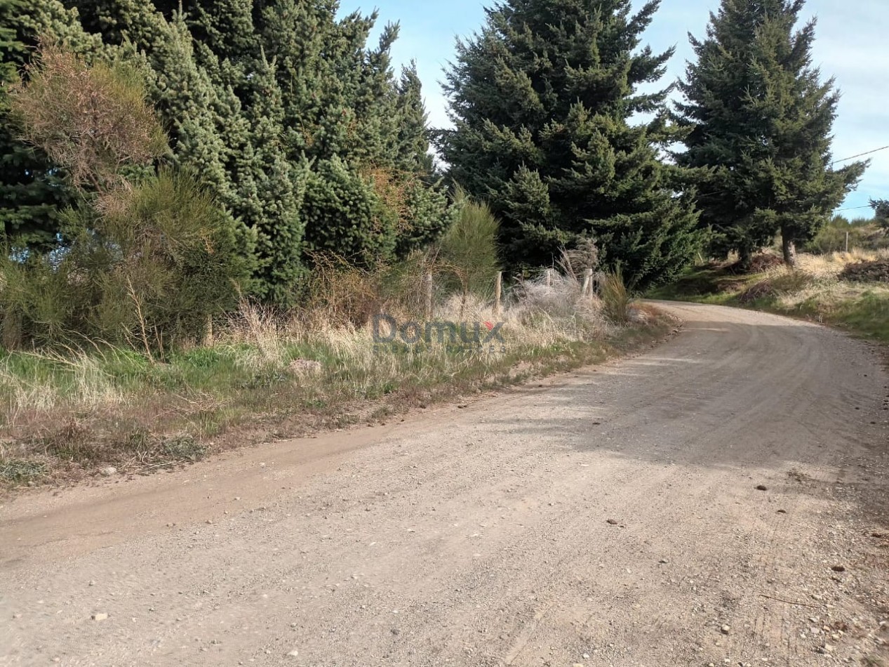 LOTE sobre El Ñandu - 1095 M2- Dina Huapi- Urbanizacion " El Milagro"