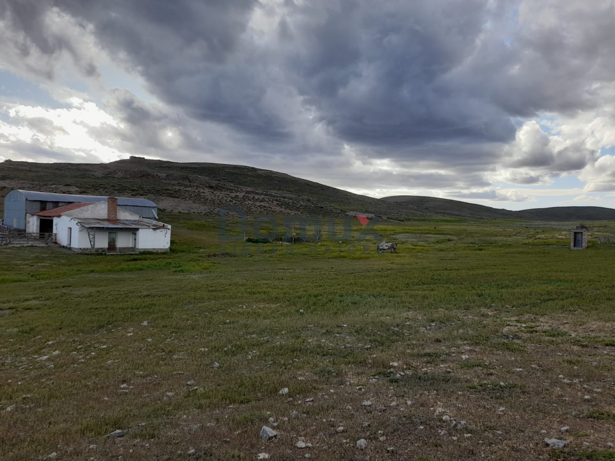 venta de campo en Jacobacci