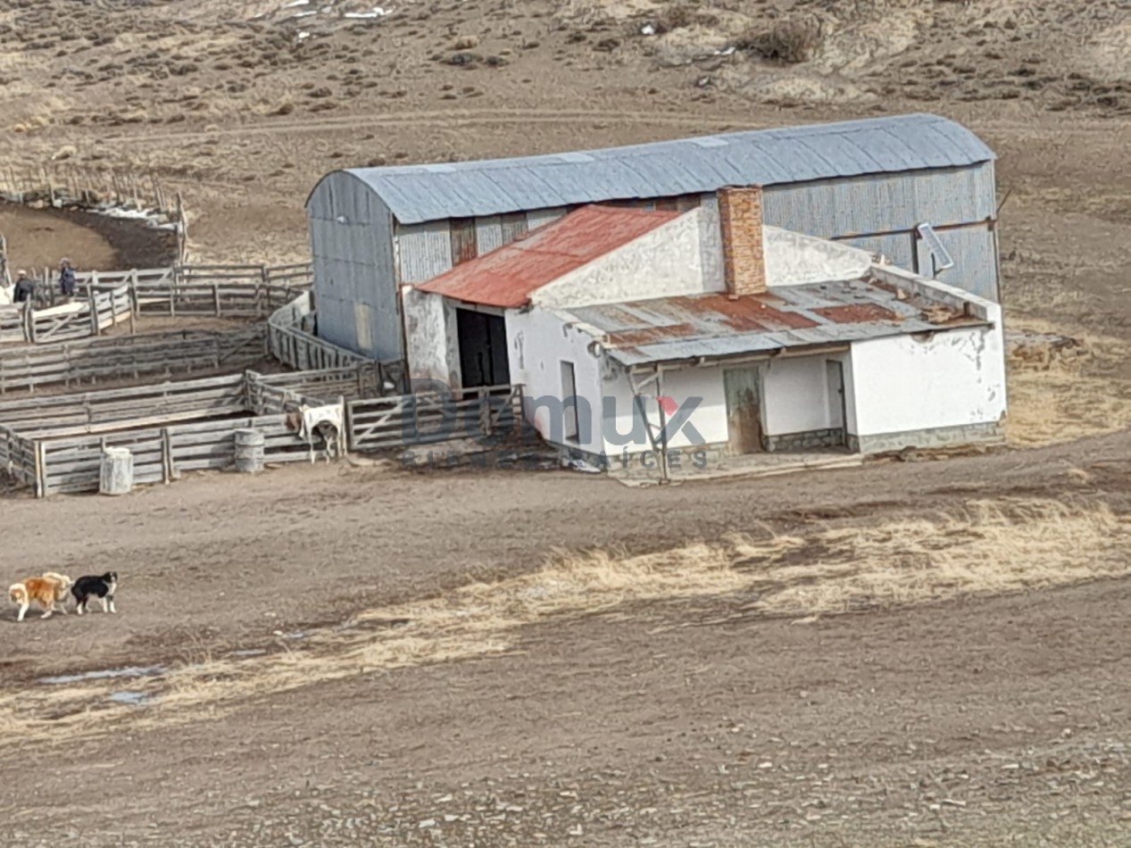 venta de campo en Jacobacci