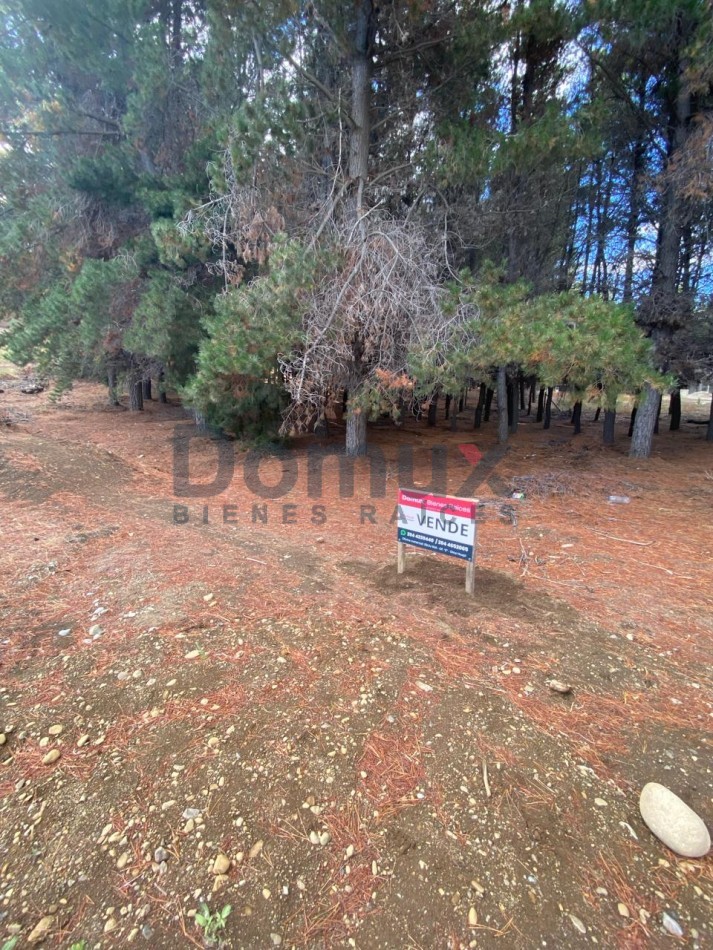 OPORTUNIDAD !! ULTIMO DISPONIBLE - LOTE EN LAS PETUNIAS Y BARABINO - DINA HUAPI -