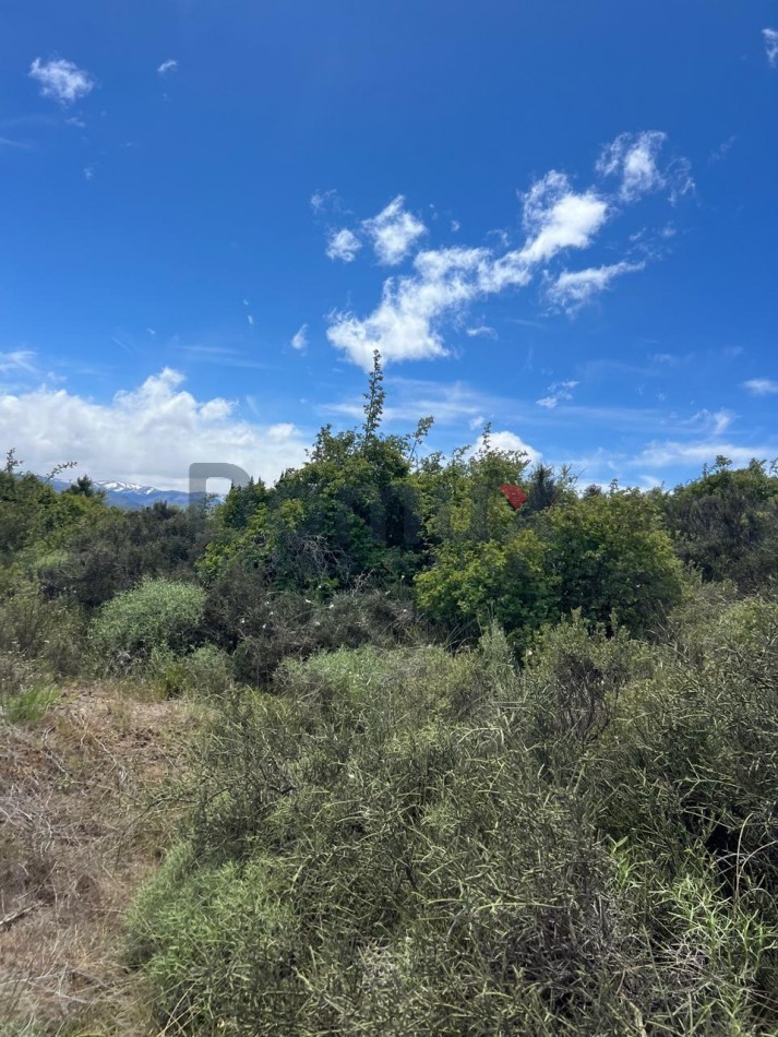 LOTE EN VENTA EN DINA HUAPI DE 1200 M2