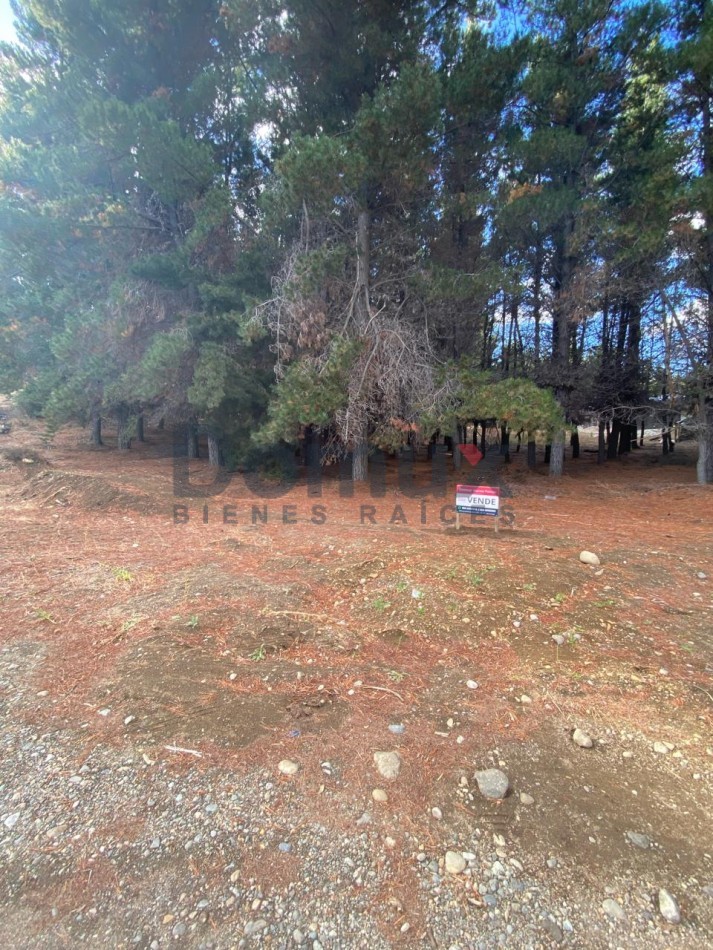 OPORTUNIDAD !! ULTIMO DISPONIBLE - LOTE EN LAS PETUNIAS Y BARABINO - DINA HUAPI -