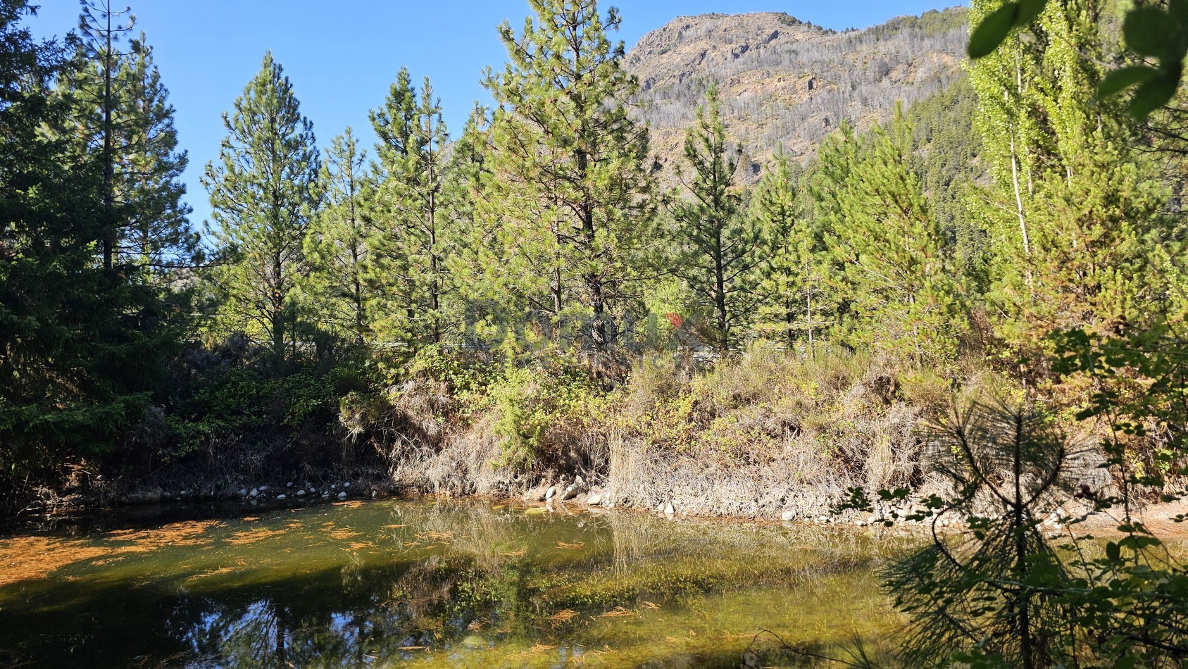 campo con gran potencial en venta a 5 minutos de Bolson - LOS REPOLLOS