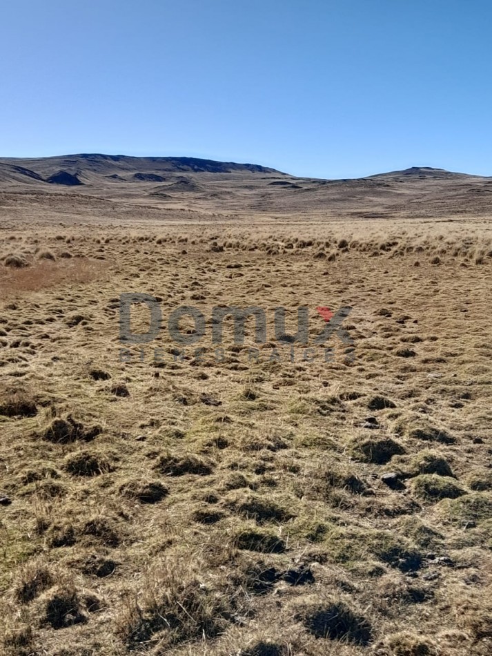 venta de campo en Jacobacci
