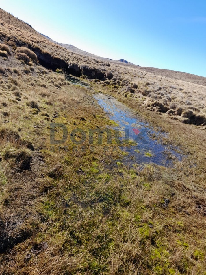 venta de campo en Jacobacci