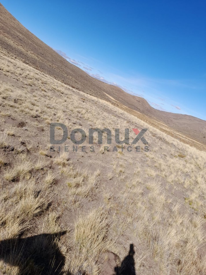 venta de campo en Jacobacci