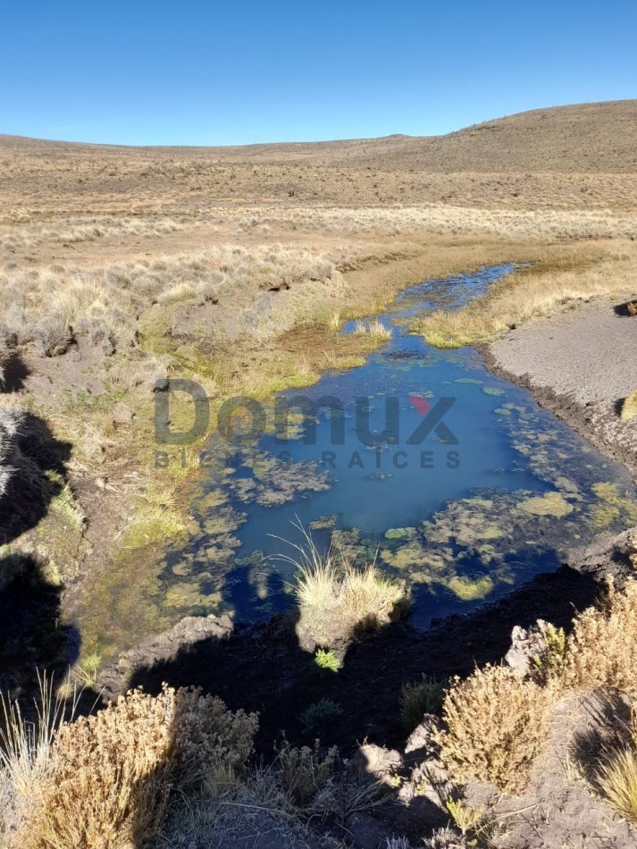 venta de campo en Jacobacci
