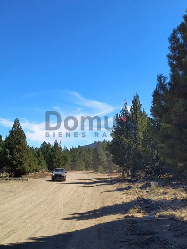 LOTE EN DOS VALLES FINANCIADO