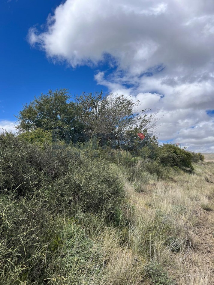 LOTE EN VENTA EN DINA HUAPI DE 1200 M2