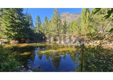 campo con gran potencial en venta a 5 minutos de Bolson - LOS REPOLLOS